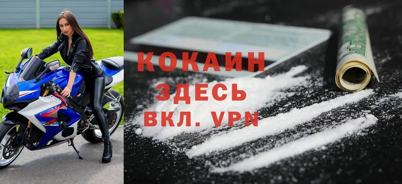 купить наркоту  kraken зеркало  Cocaine 99%  Кольчугино 